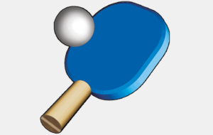 Ouvertures de la salle - Vacances d'Hiver 2015