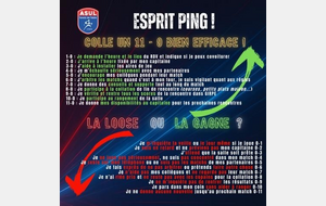 Esprit Ping