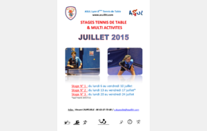 Stages multi-activités - juillet 2015