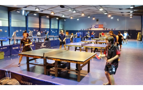 Stages de Toussaint 2014