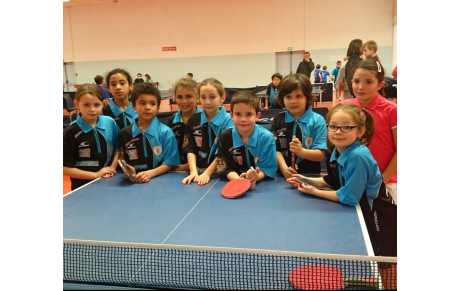 Bilan pouss'ping 2014-2015