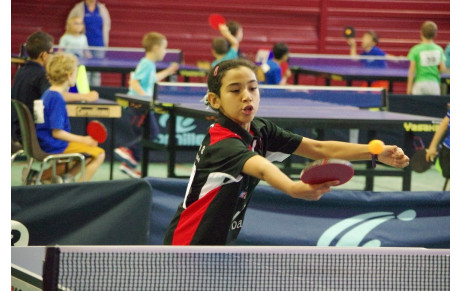 Stages de la Toussaint 2016 : inscrivez-vous vite !