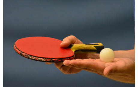 Stages Tennis de Table &amp; Multi Activités Juillet 2018